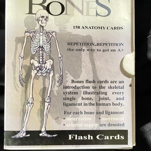 Bones flashcards